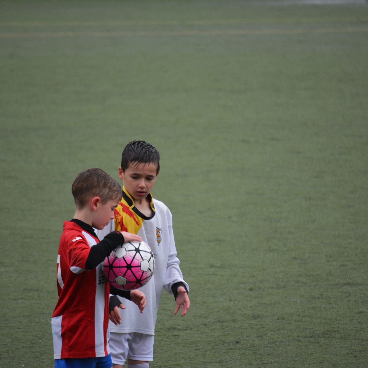 Frenchville Mini Roos Frenchville Sports Club